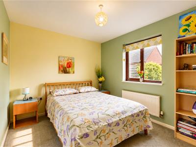 Picture 8